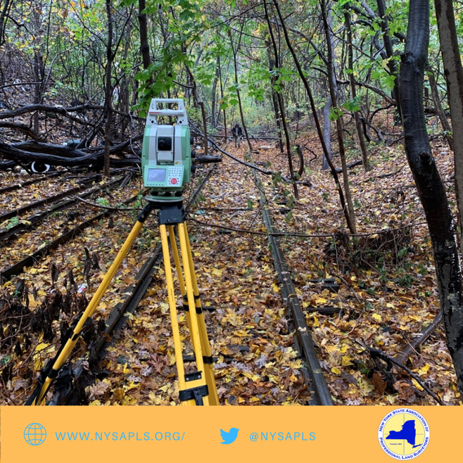 nysapls's tweet photo. Did someone say #pumpkinspice? #FallSolstice is upon us and as we welcome the new season, there is no better place to enjoy the changing of the leaves than #NewYork. https://t.co/XNJlMd9KCz