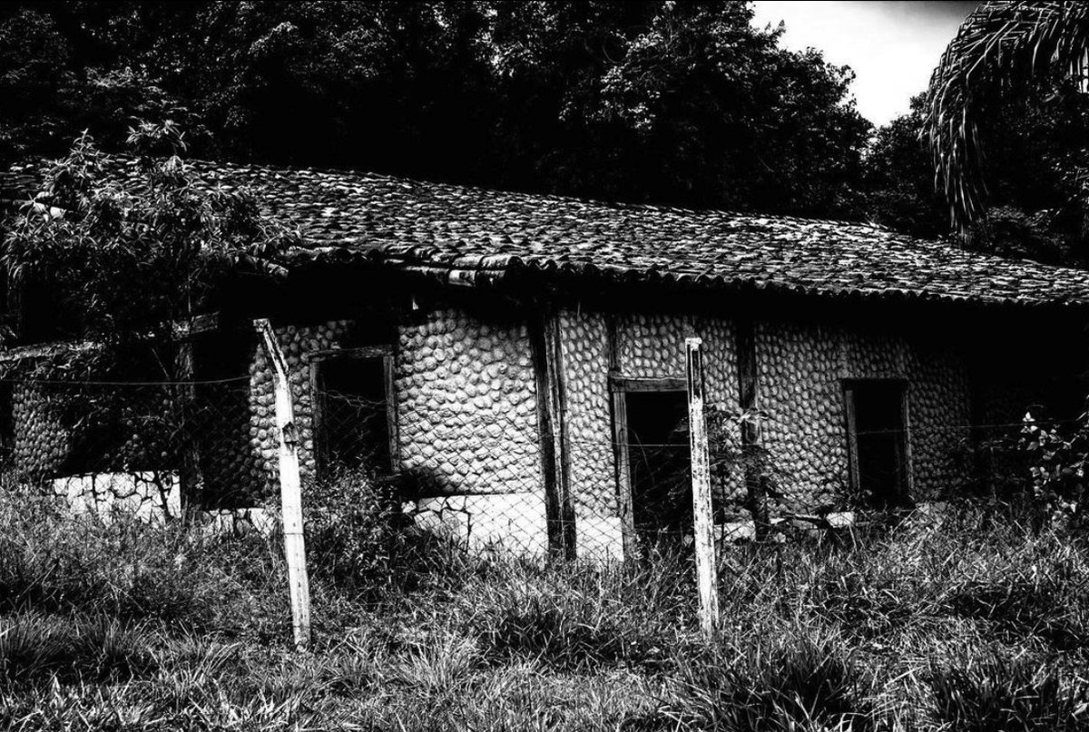 CudoDAO | NEAR tweet media
