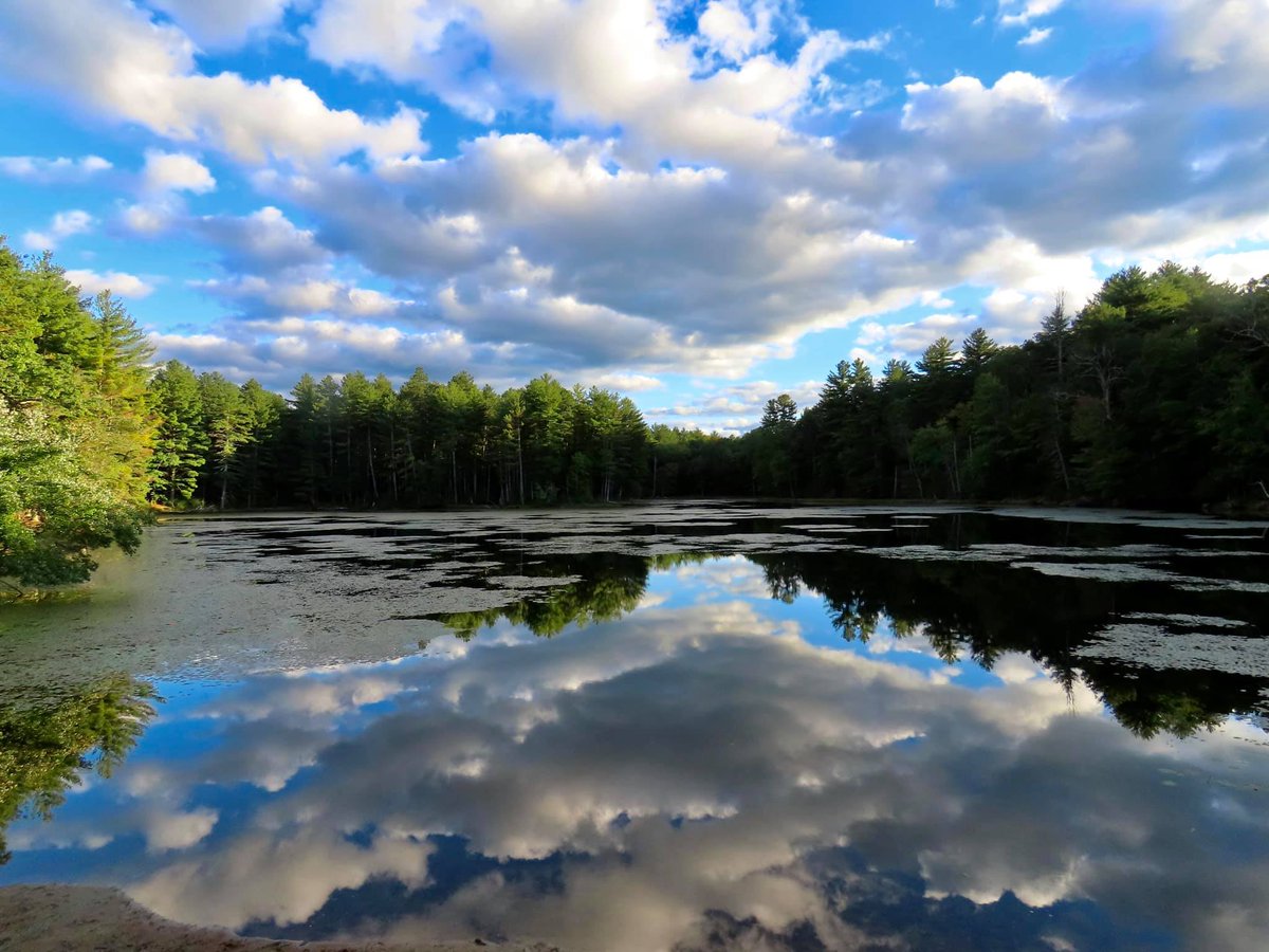"I cannot endure to waste anything as precious as autumn sunshine by staying in the house. So I spend almost all the daylight hours in the open air.” - Nathaniel Hawthorne 

Image: Peaked Mountain Reservation by Lee Ann Gale

#AutumnalEquinox