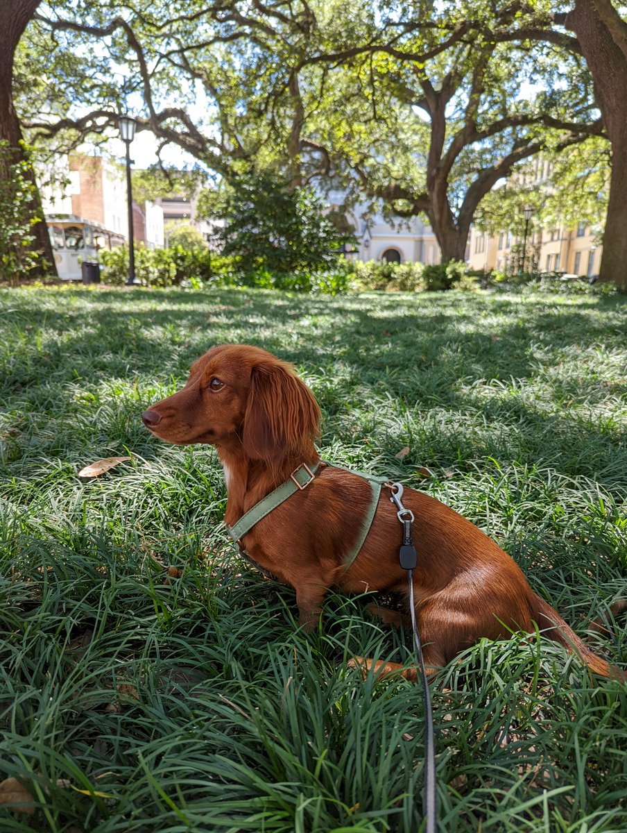 GM

eating some fish for breakfast and getting motivated to chase some squirrels today