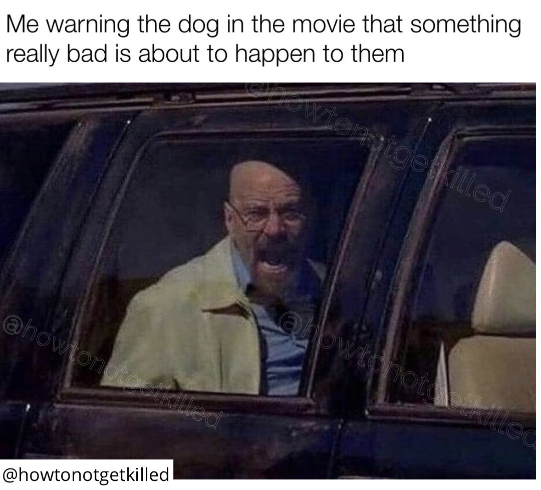 How To Not Get Killed tweet media