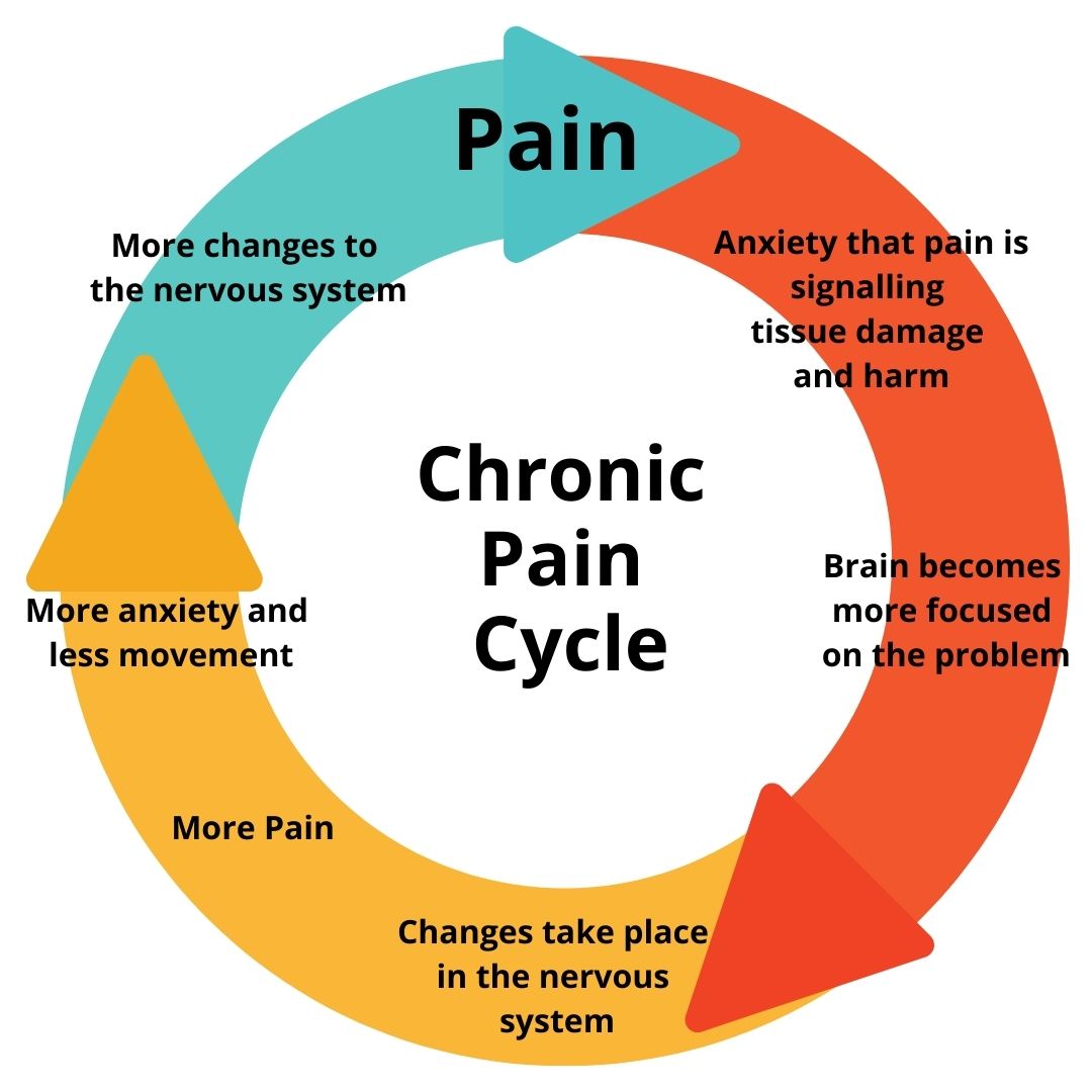 Miami_Stem_Cell's tweet photo. At Miami Stem Cell we are experts at treating a variety of pain related conditions using Stem Cell Therapy, to learn more visit: https://t.co/OA60Js12f1 #stemcells #plasma #prp https://t.co/OUHU7Shr3C