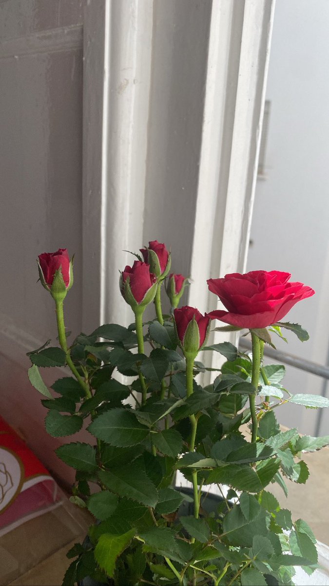juditfx's tweet photo. tener al mejor novio del mundo supongo🥰🥰 https://t.co/y8xVigvxU1