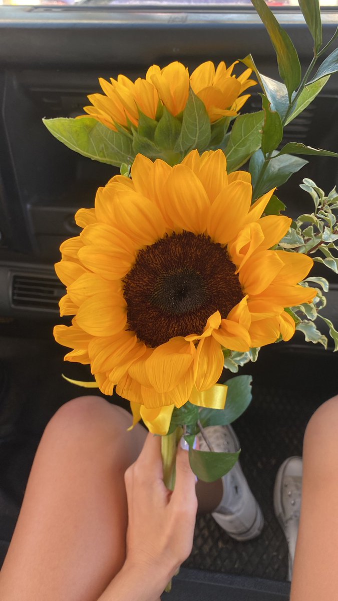 juditfx's tweet photo. tener al mejor novio del mundo supongo🥰🥰 https://t.co/y8xVigvxU1