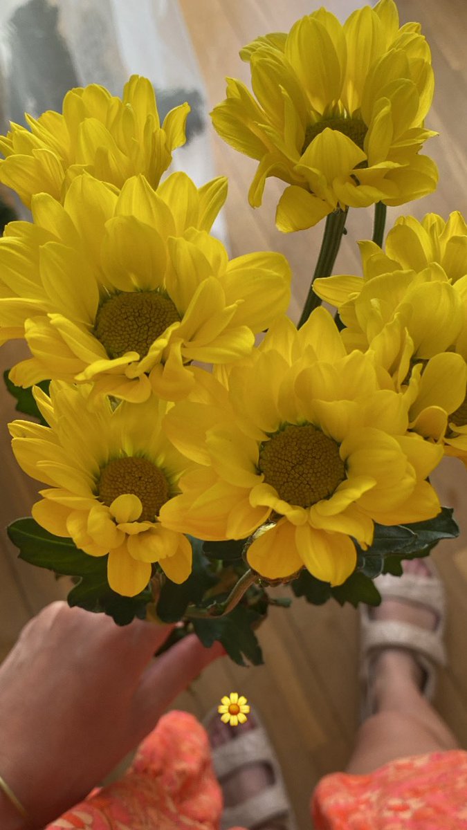 juditfx's tweet photo. tener al mejor novio del mundo supongo🥰🥰 https://t.co/y8xVigvxU1
