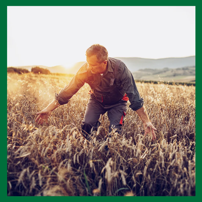 ca_centrest's tweet photo. 💡 🌱 #Agriculteurs, vous êtes concernés par la réforme du dispositif de gestion des risques climatiques : #sécheresse, #gel, #grêle, #inondations... Ce que vous devez faire avant le 1er janvier 2023 ⬇️