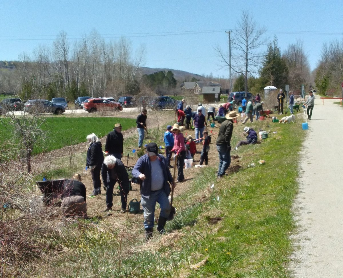 Help turn The Blue Mountains Green! 🌲 🌳 

This Saturday, two tree planting events will be taking place in partnership with <a href="/TreeTrustTrees/">Tree Trust</a>, <a href="/BlueMtnVillage/">Blue Mountain Village</a> and the Thornbury-Clarksburg Rotary Club.

Learn more or sign-up to volunteer: thebluemountains.ca/town-hall/news…
