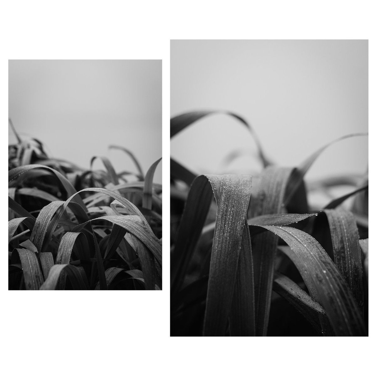 Maria_nkfrv's tweet photo. All I want now is to...

"Hide"

A new drop in my Diptychs &amp; More collection on Objkt

▫️9 ed.
▫️2 xtz

#CleanNFT https://t.co/1xosD7CXEK
