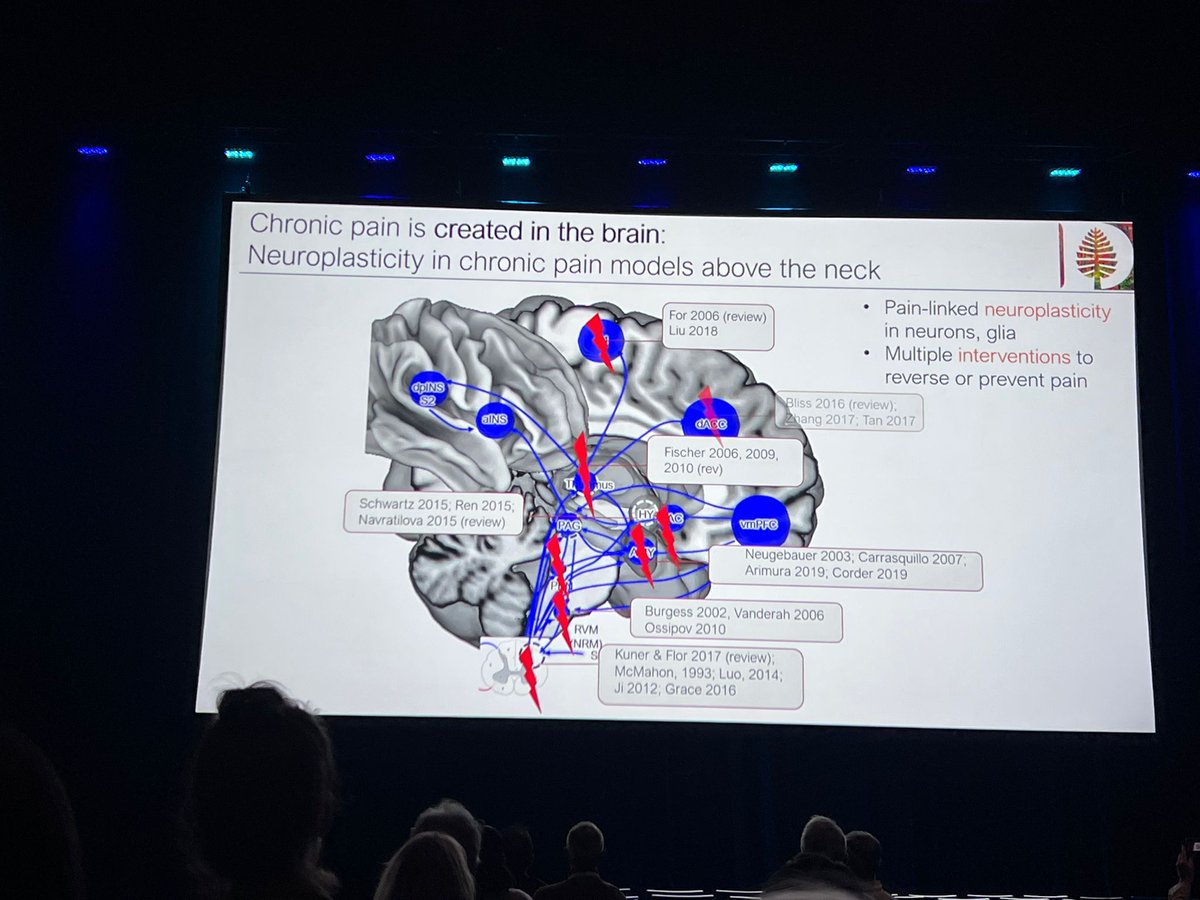 The second plenary speaker is another of the most influential pain researchers today, @torwager : 'Chronic pain is *created* in the brain'. Very thought-provoking lecture! #IASP2022