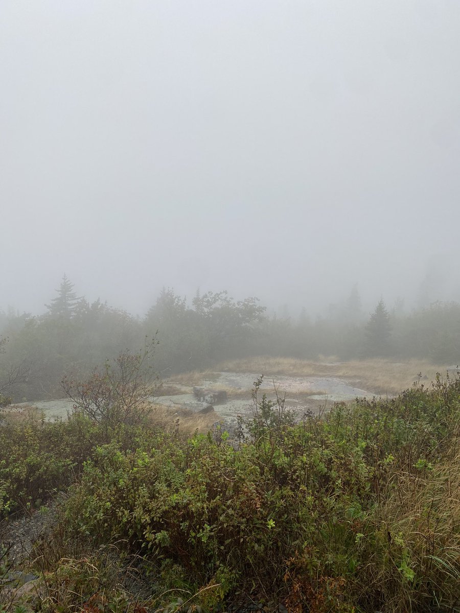 Came to the top of this mountain to try to find Olympus…