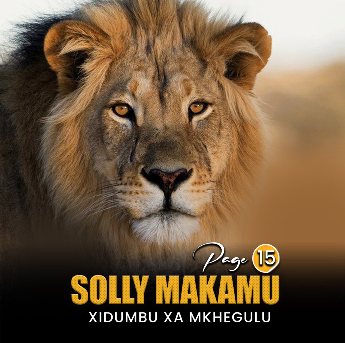 solly_makamu's tweet image. Xidumbu xa mukhegulu yi vulavula hi yini vhmbha vhumbee?