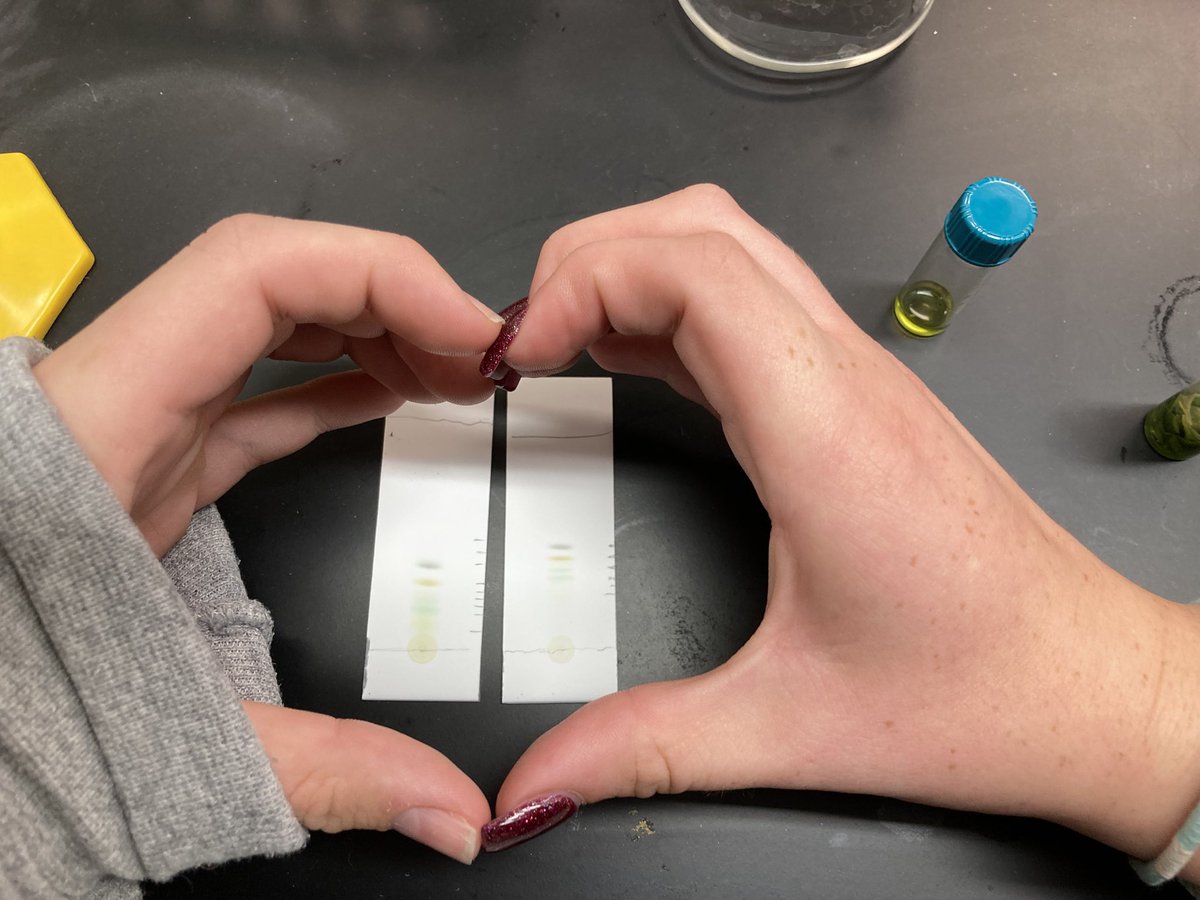 mrs_langman's tweet photo. #TLCplates turned out awesome! #Montourproud https://t.co/VkKceGdPGt