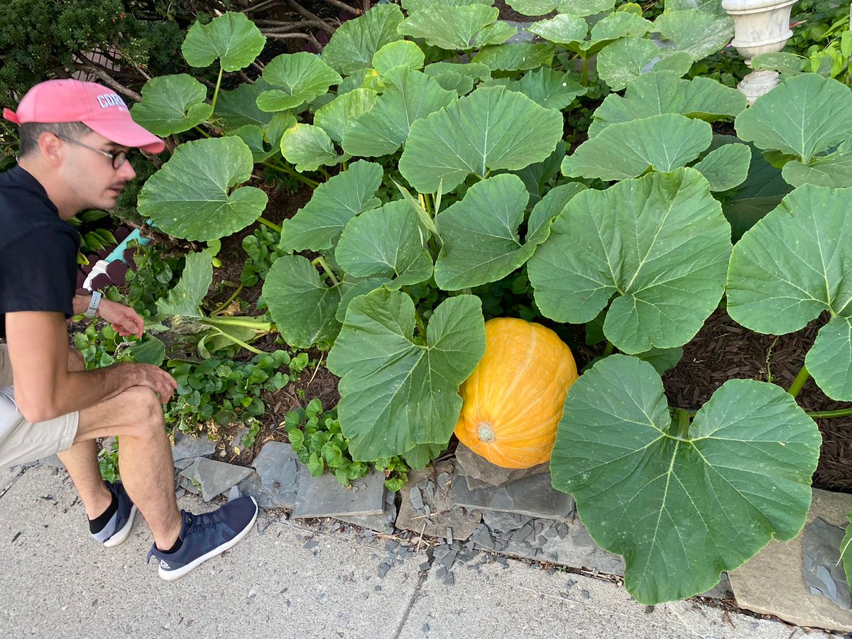 juanluchosi tweet media