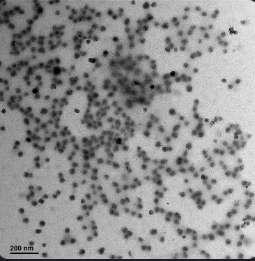 jfchimie's tweet photo. When you ask @chai_miste to show you TEM images of his newly prepared carbon nanoparticles and he shows you that: #ProudPI #OutstandingStudents https://t.co/ymcFpNdisM