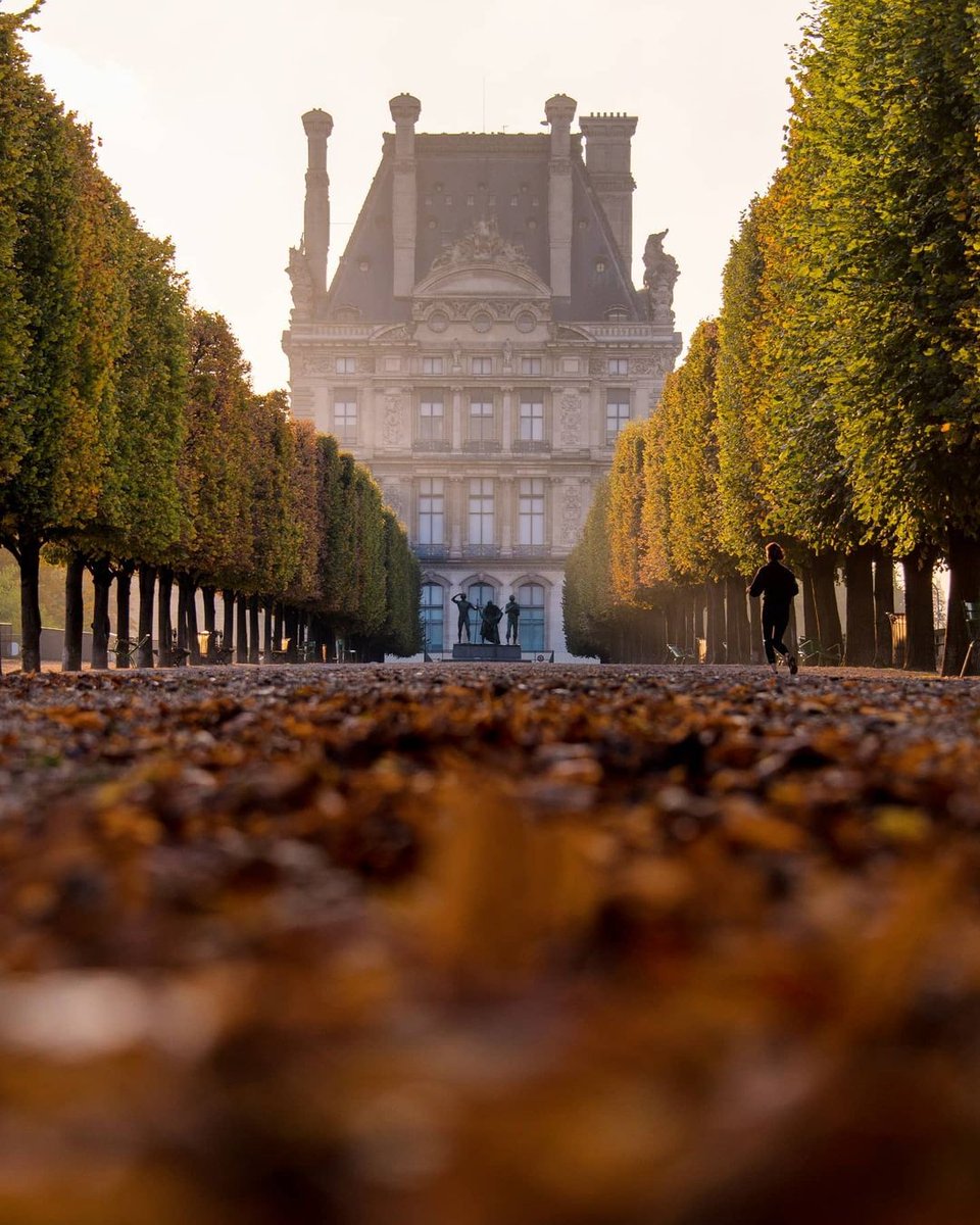 Paris_Pass's tweet photo. Fall in love with Paris 🍂 Looking for some seasonal activities? We've got you covered.
#1 Purchase a #ParisPass...because of course!
#2 Enjoy some famous hot chocolate.
#3 Snap photos of the fall foliage.
#4 Escape the rain at a cozy cafe.
Paris awaits: https://t.co/jeu0W6kRXR https://t.co/e31pb2VRds