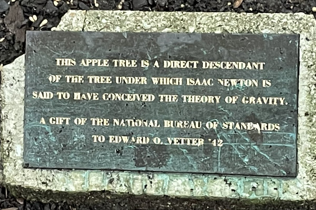 MrsRichtersci's tweet image. Spent the morning at MIT! We saw the Latino Cultural Center, the Toy Lab, The Great Glass Pumpkin Challenge, and the great great grandtree of Newton’s original 🍎 🌳! The students competed in a balloon challenge and presented their business plans to MIT staff. @fcpsaap #fcpsaap