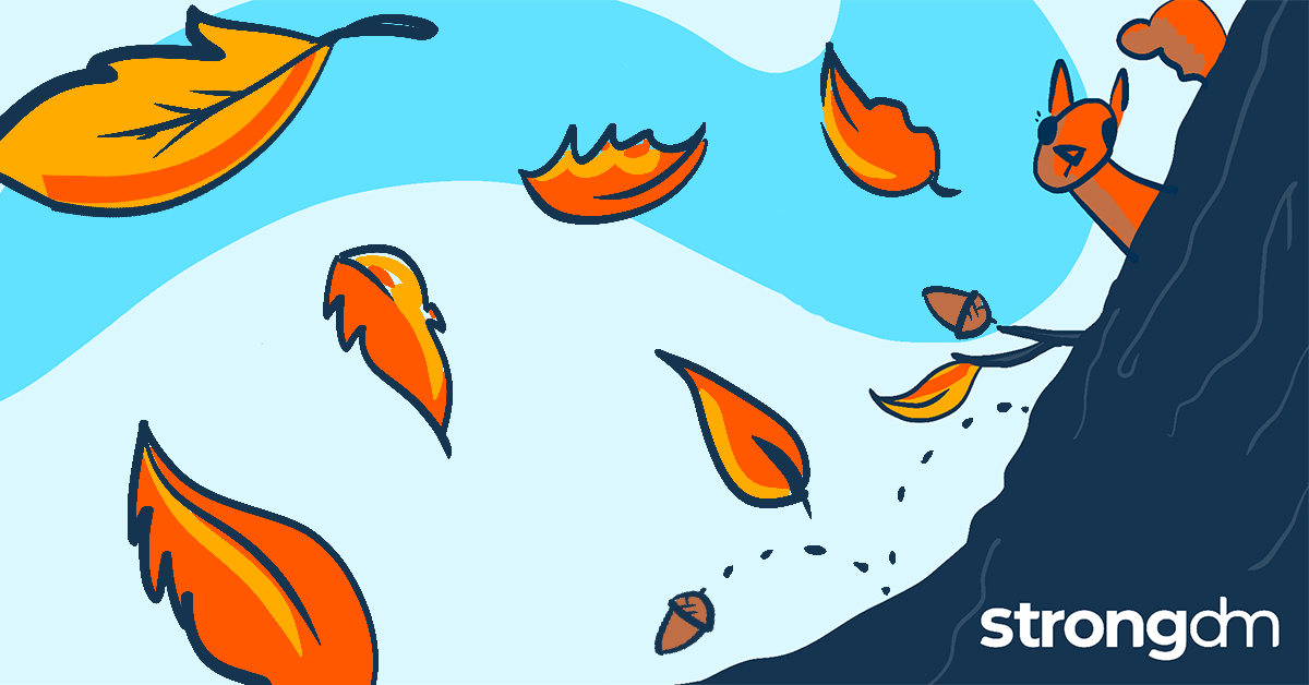 It may not be sweater-weather for most just yet, but it's officially the first day of fall and we're here for it. 🐿️🍂🌰 #FirstDayofFall #AutumnEquinox