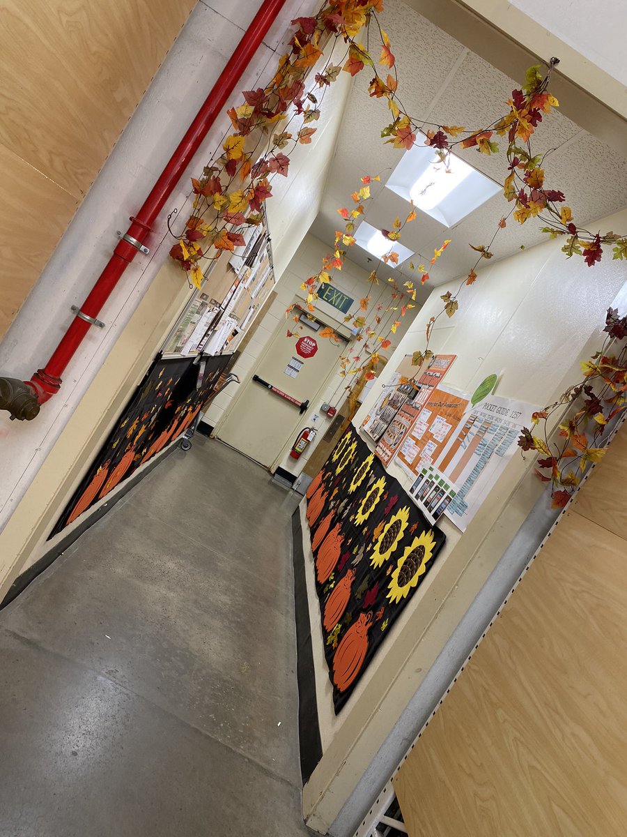 Success sharing decorations are up 🎃 🍁 🌻 <a href="/CurtisM96070963/">Curtis Morales</a> <a href="/HdShultz/">Joshua Shultz HD</a> <a href="/SaraSaralesher/">Sara</a>