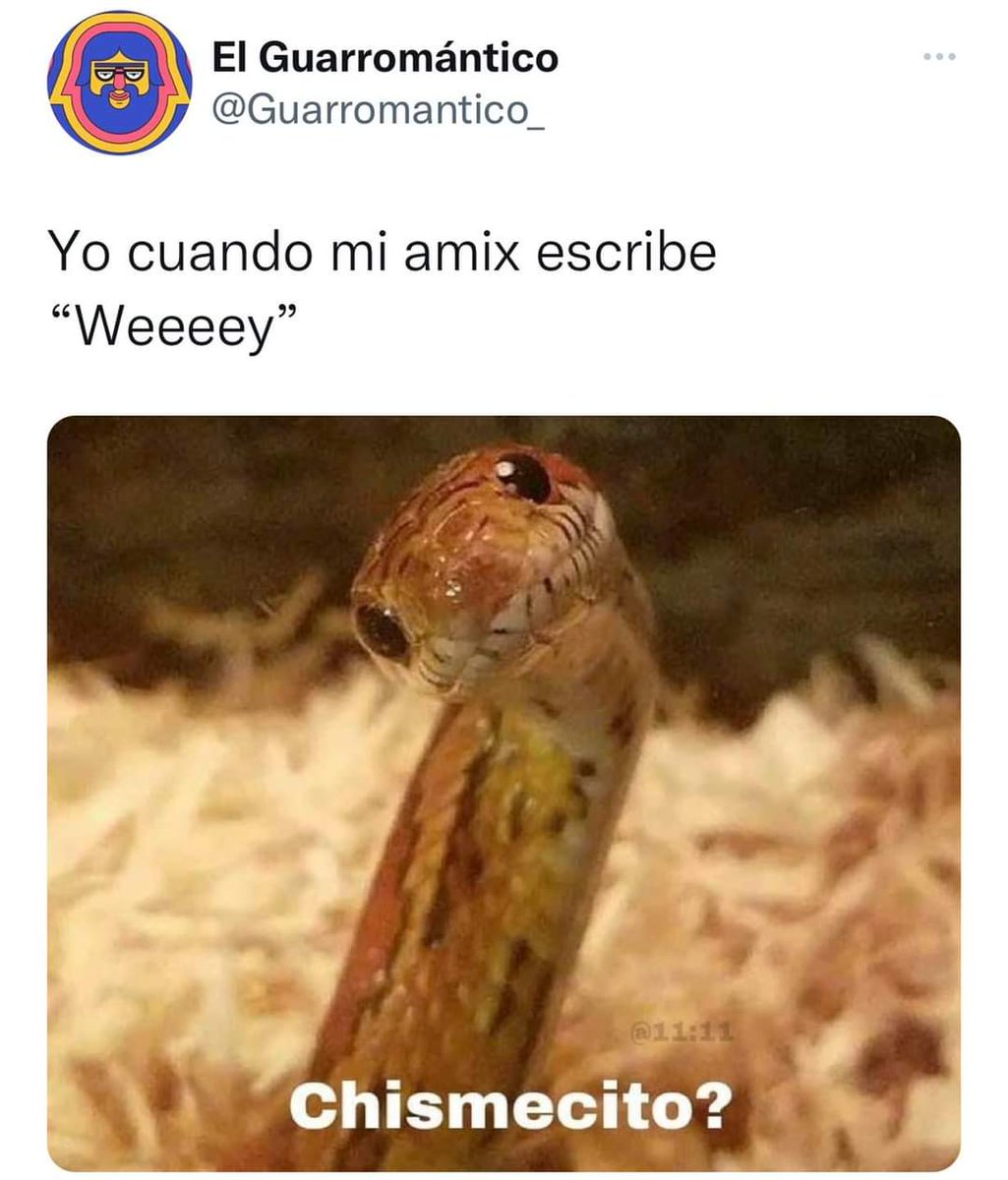 PostresDeChely's tweet photo. Weeeeey!! Domingo tu, yo, en mi casa, un pay de @PostresDeChely, no sé piénsalo! 😉 https://t.co/WW5M9wMun2