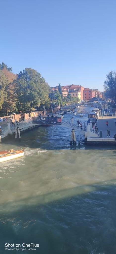 Mark Anthony Cook (🐝,🐝) #10030 tweet media