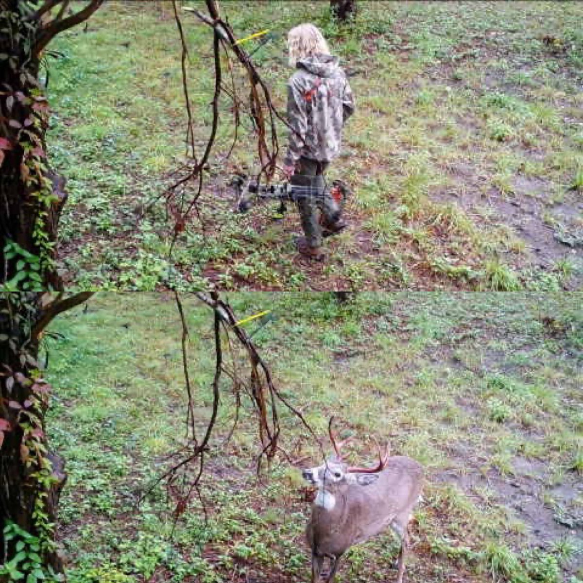 Photos caught on our trail cam only 1hr apart after spraying Buck Boss