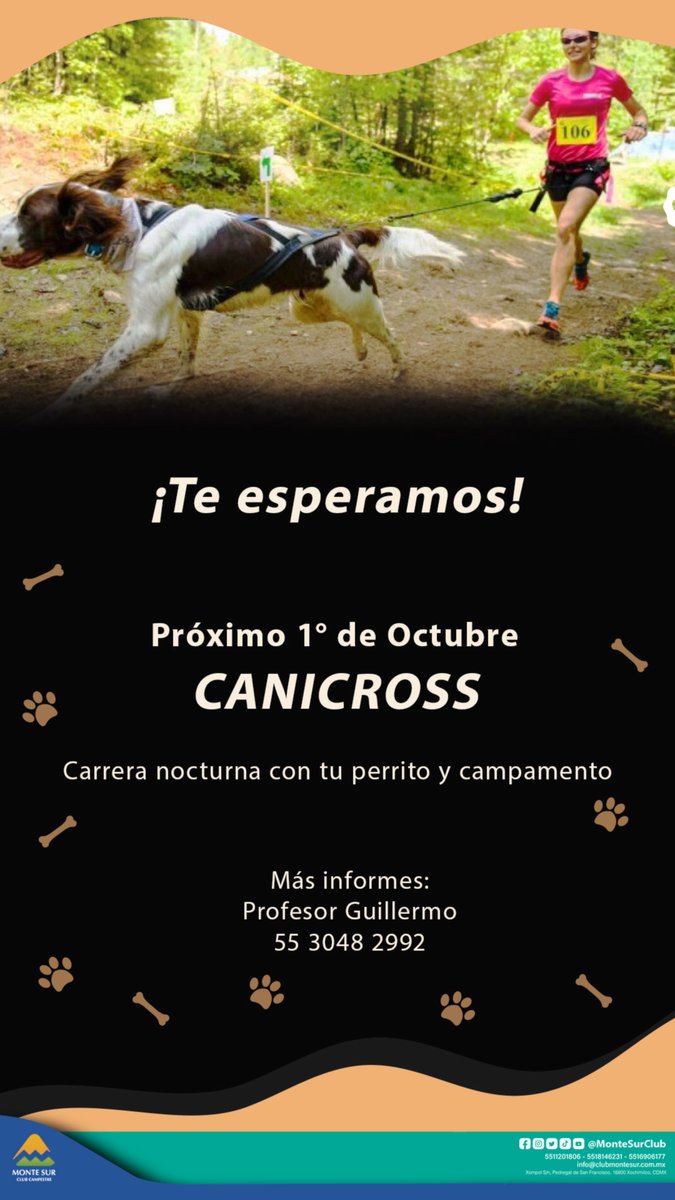 MonteSurClub's tweet photo. 🐾Ven y vive una experiencia extraordinaria con tu mascota en una carrera nocturna y campamento.

#petfriendly #MonteSurClub #runningatrain https://t.co/UEEukcMRzT