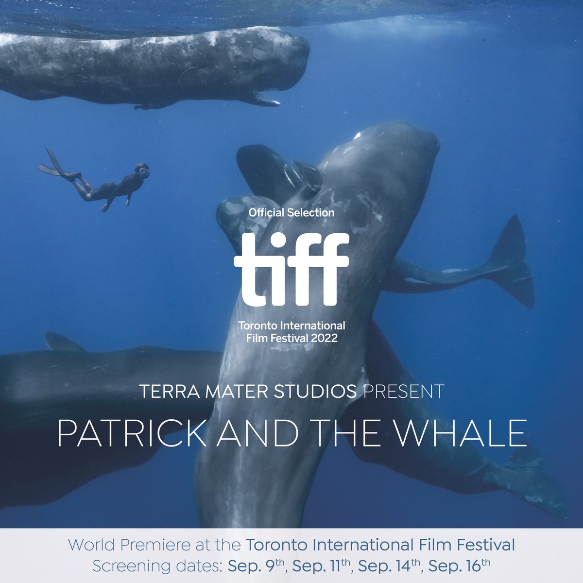 RemoteTrauma's tweet image. Another of the films we worked on created such a buzz at #TIFF, but to catch #PatrickAndTheWhale, you'll have to head to the @zurichfilmfest, which starts tonight.

#RemoteTrauma provided #riskmanagement and advice. 

@patrickdykstra #spermwhale @TerraMaterFS