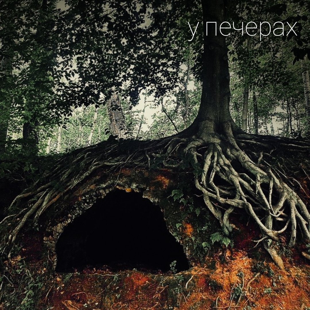 Пещера под корнями дерева