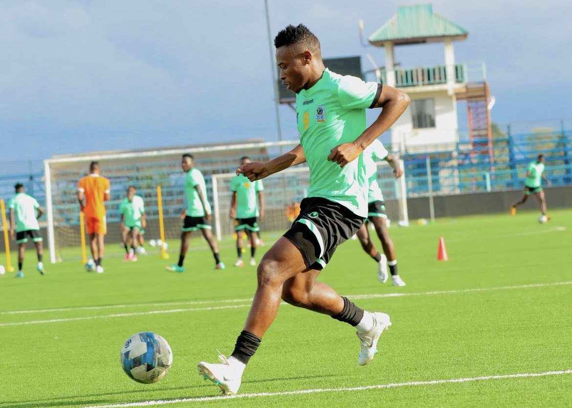 🇹🇿🦅