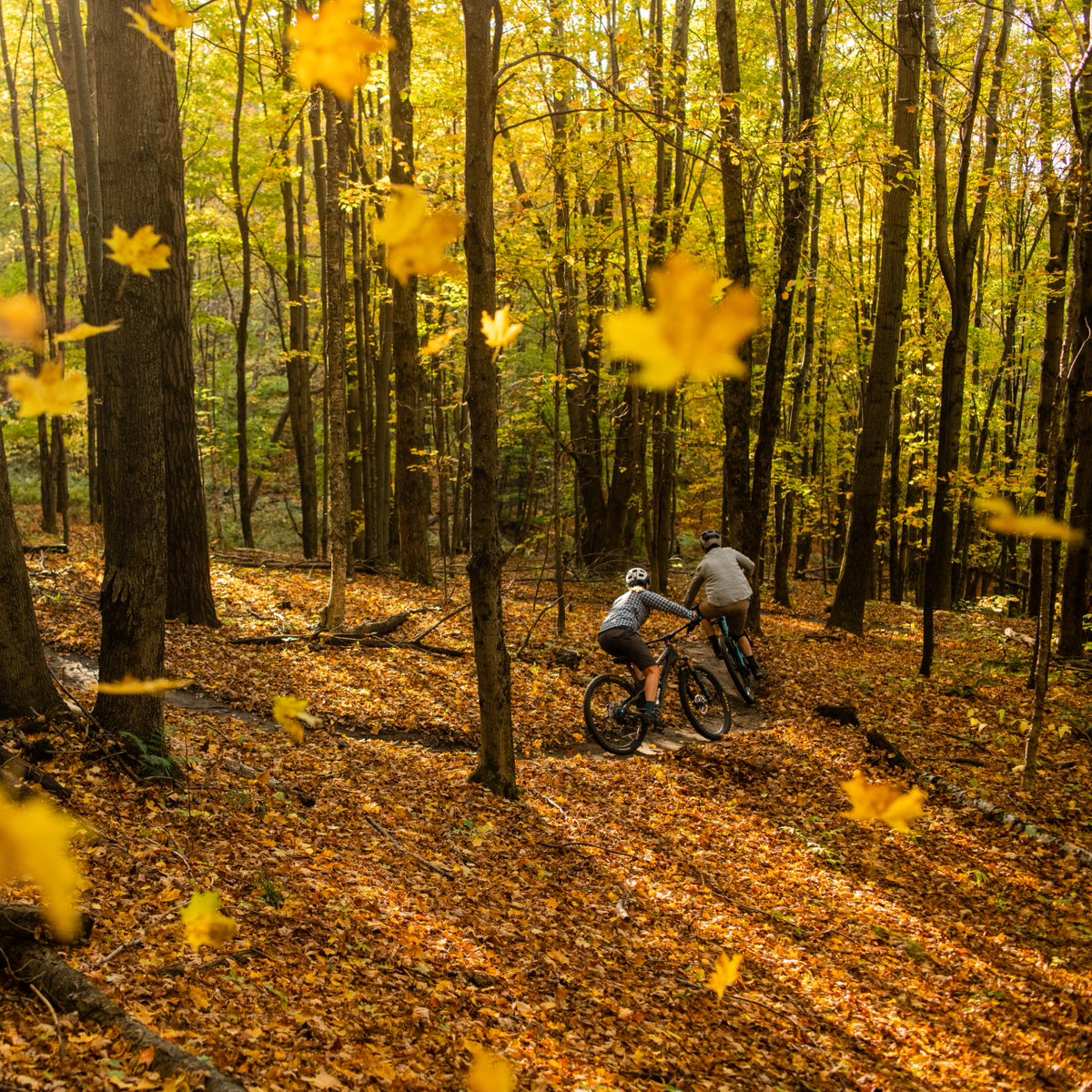 StioMountain's tweet photo. As the leaves change color and a familiar bite in the air welcomes the arrival of a new season, enjoy the breezy rides and drizzly hikes while we wait for our favorite time of year - winter.
#lettheoutsidein

📷 @brookscurran https://t.co/WO0ggmAM5h