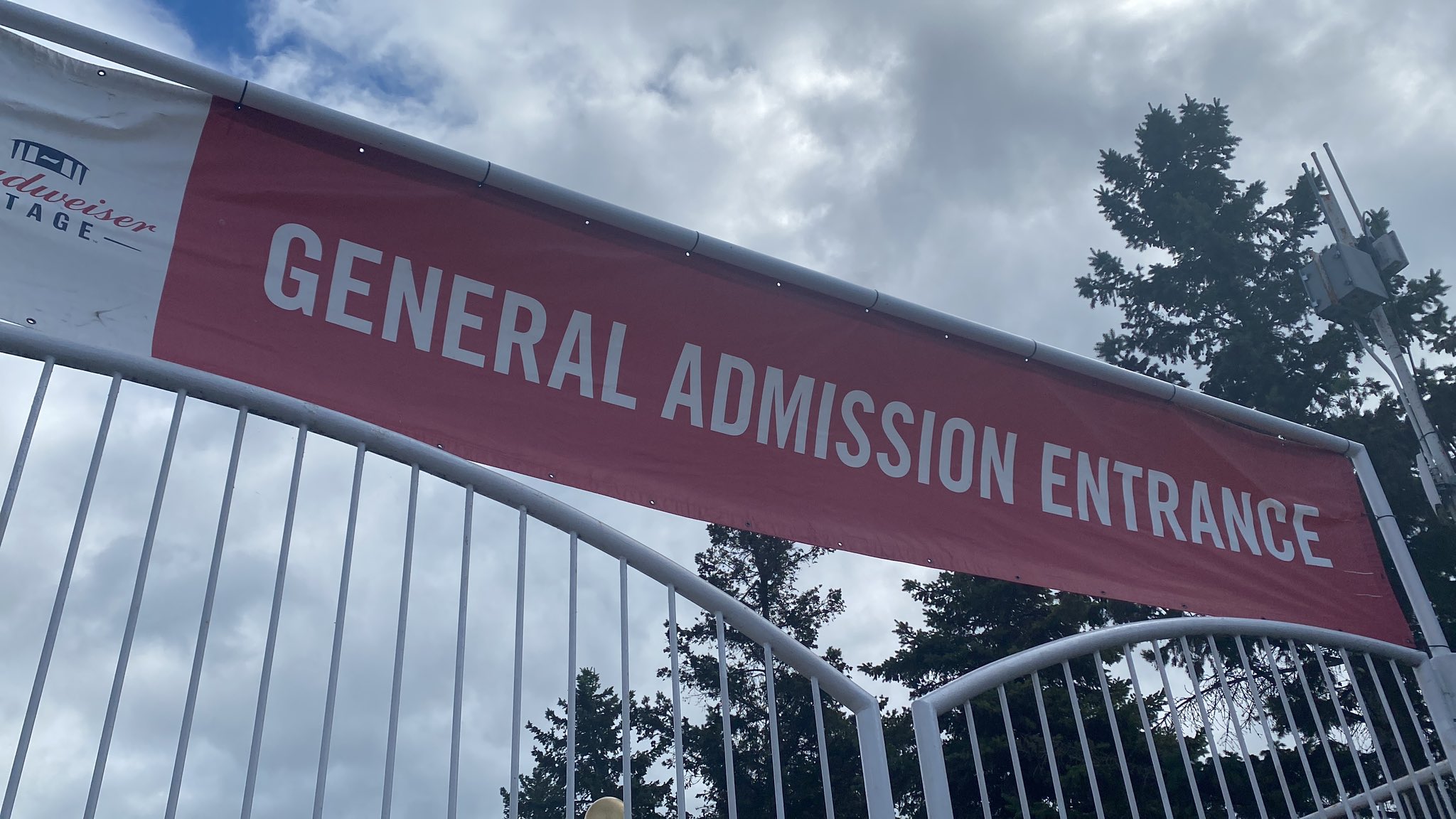 alethea-on-twitter-day-33-of-asking-carlyraejepsen-to-pretty-please