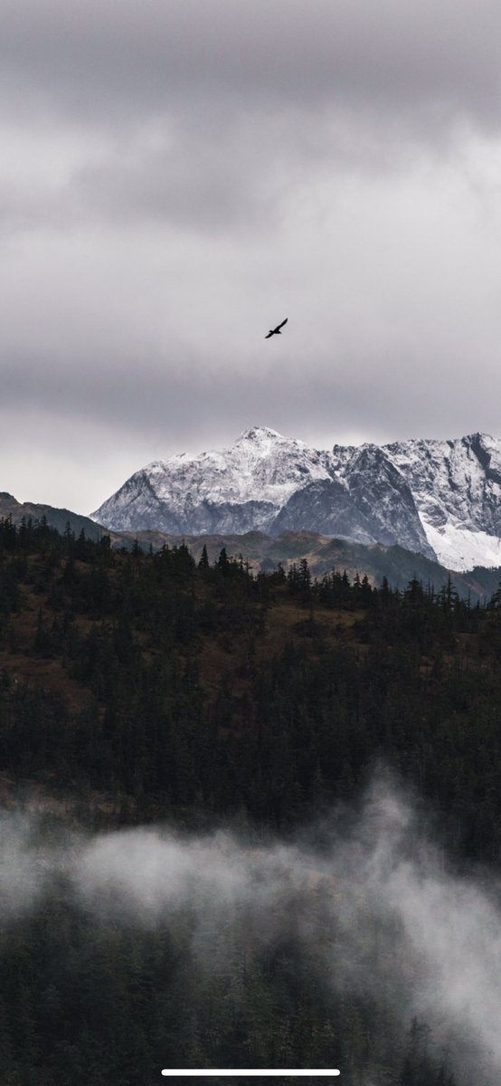 meatisburger's tweet photo. Last day on Eyak lands in Cordova, Alaska. Blessed with this gorgeous scene. 🥹 https://t.co/cenmNXnGuR