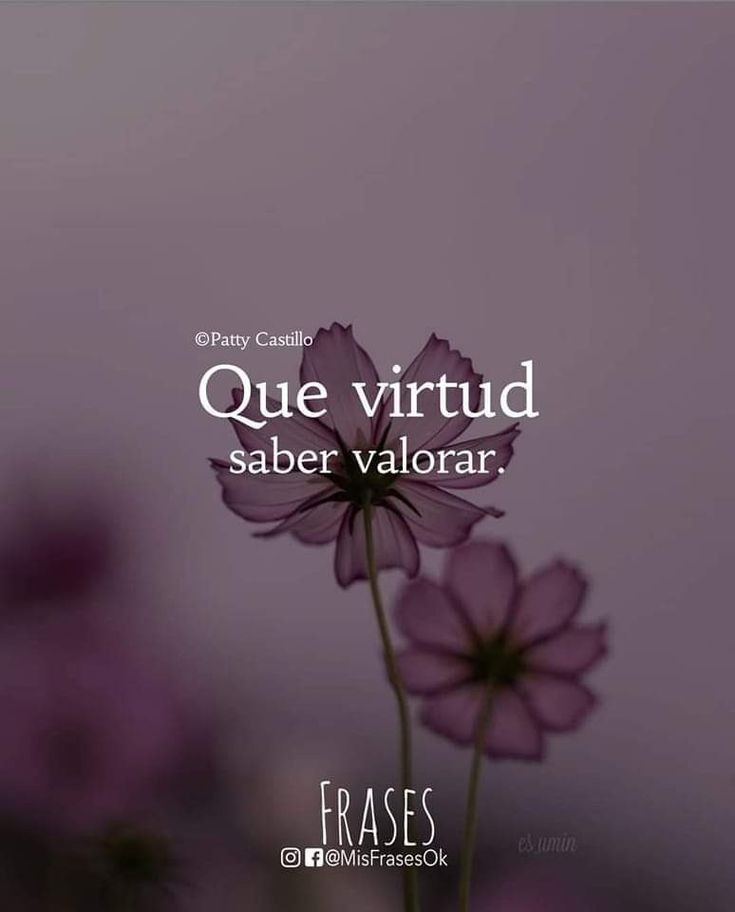 avanzandoacasa's tweet photo. ♥️ https://t.co/AuojPPXOwF