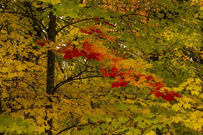 Matthew J. Kirsch Photography tweet media