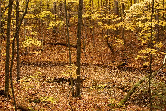 Matthew J. Kirsch Photography tweet media