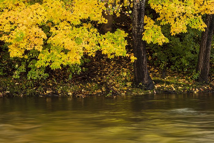 Matthew J. Kirsch Photography tweet media