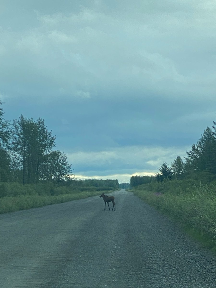 Corbin Hite tweet media