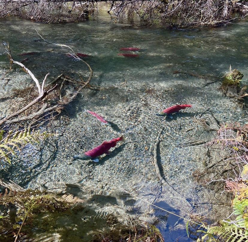 Corbin Hite tweet media