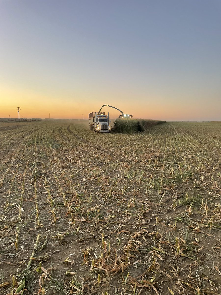 jaredwever tweet media