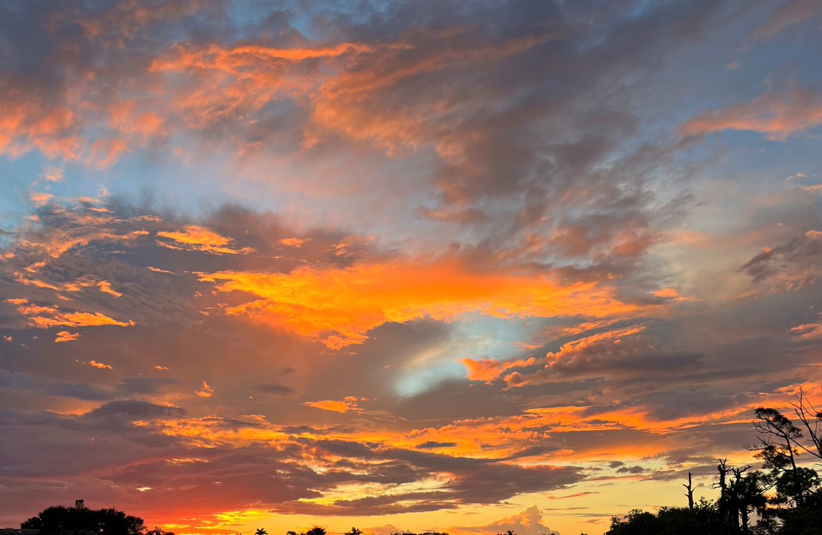 PGAVillage's tweet photo. Did someone say First Day of Fall?
🍁🍂🍃🎃

This is how Fall colors change in FL🌞R🌴DA 
😉✌️

@PGAVillage @visitstlucie @visitflorida

#floridafall #floridagolf #stillfeelslikesummer #fallskies
#pgagc🌞🌴⛳️🏌️🏌🏻 https://t.co/bTd6a1ItV5