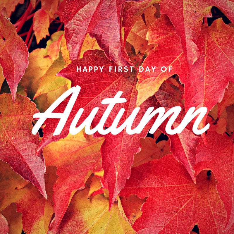 Happy First Day of Autumn and 1 more Month til Golftoberfest on Thursday, October 20th at Downingtown Country Club. We hope you can join us! safeharborofcc.org/2022-safe-harb…
#safeharborofcc #September22nd #firstdayofautumn #itsfallyall #golftoberfest #October20th