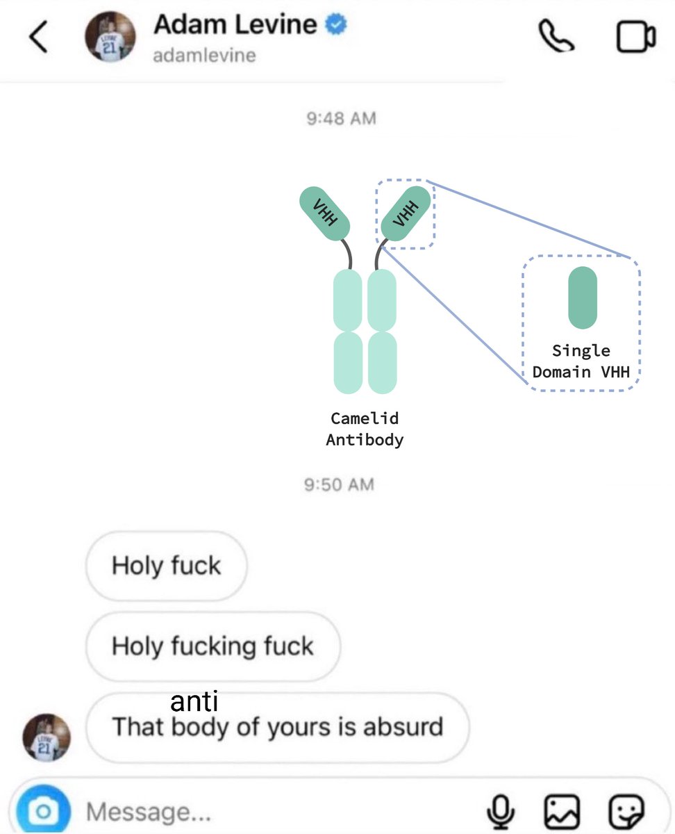 when i found out about llama antibodies for the first time