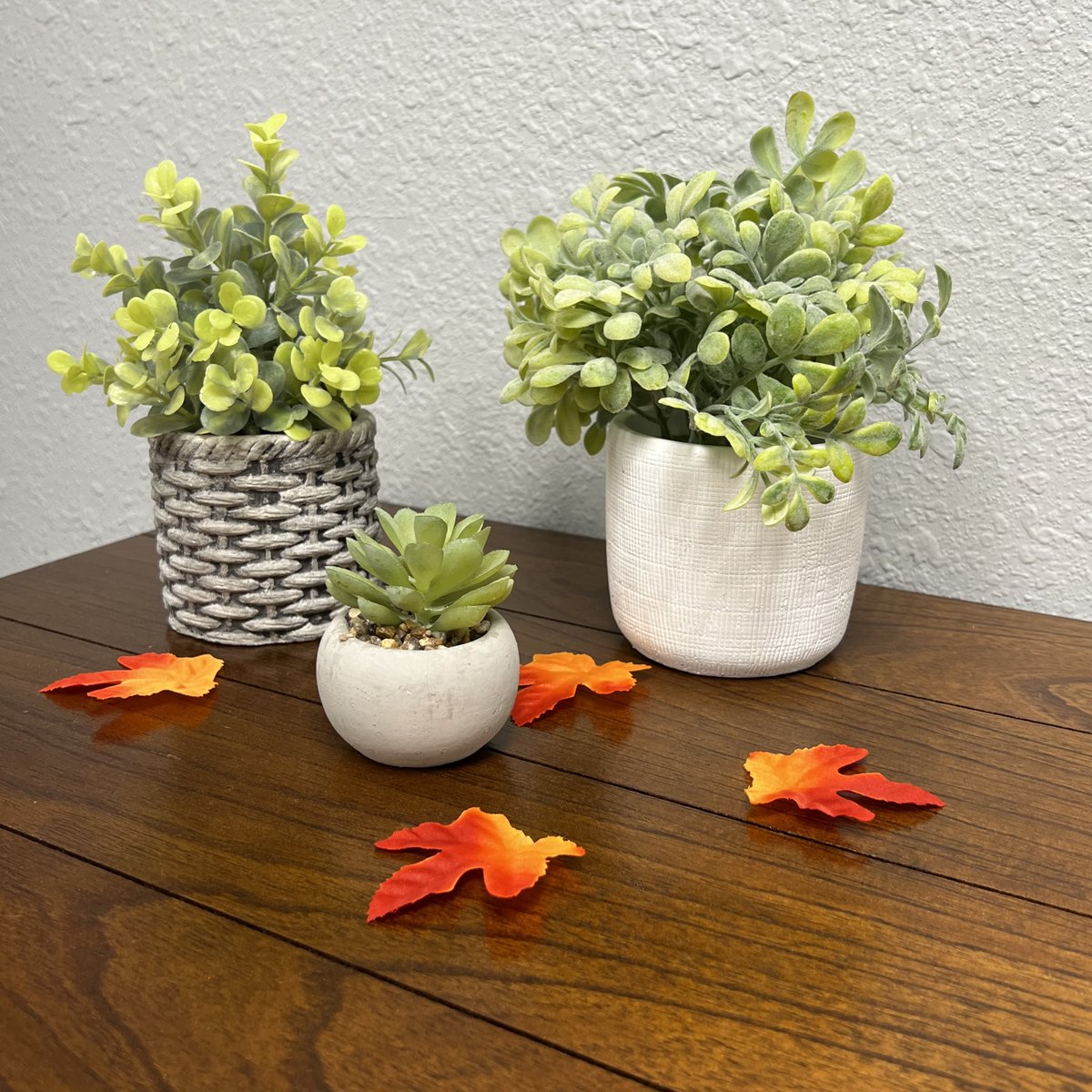 It's the first day of fall! 🍂 Even though it still feels like summer outside, we're creating fall vibes inside🍁