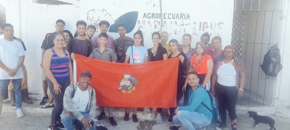 CaimitoUjc's tweet photo. #Caimito #Artemisa @UjcCaimito  @Dania70100753 @MaylenM21812991  Trabajo productivo como parte de las actvidades saludo a las votaciones por el "#CodigoDeLaFamilias " y contribuyendo a la alimentación del territorio.#VamosConTodo https://t.co/P3Udm8ftcS