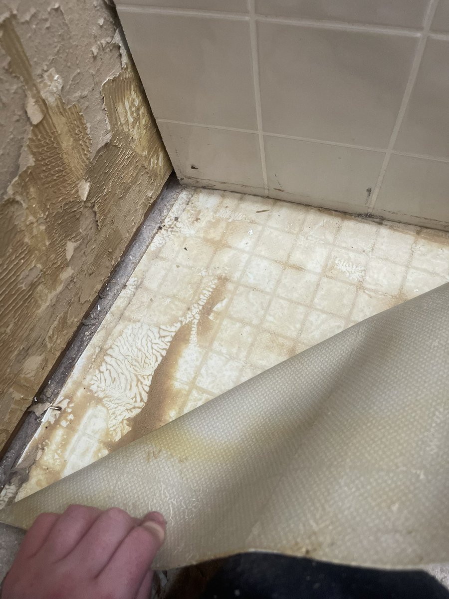 Uflufflive's tweet photo. So we recently bought a house and the bathroom was just hideous. Decided to redo the bathroom ourselves with very little experience and this is how’s its going https://t.co/hmsoXdK32a