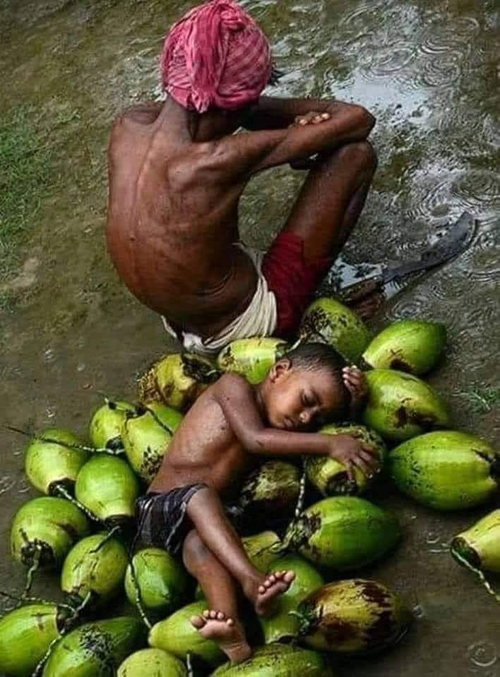 दोपहर तक बिक गया बाज़ार का हर एक झूठ,
और मैं एक सच लेकर, शाम तक बैठा रहा..!!