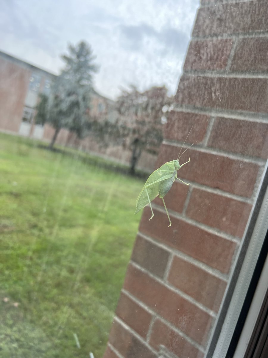 Bwilliams1002's tweet photo. Look who it was today! This guy heard his friends talking and needed to stop by to hear the good news for himself. https://t.co/WZXASlxqkZ