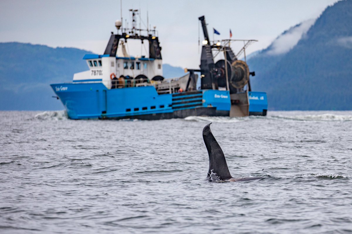 Corbin Hite tweet media