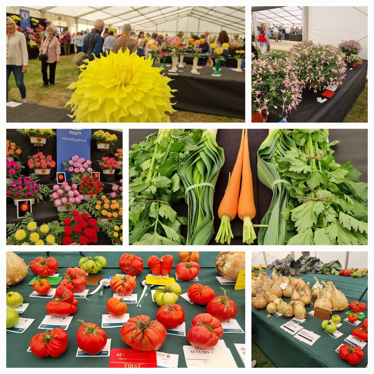 Going to the Malvern Autumn Show tomorrow and hoping to meet some of our Tettenhall Gardening friends there. Below, pictures from last year.#Tettenhall #gardening #Malvernautumnshow