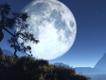Shams82786's tweet photo. ~کل چودھویں کی رات تھی شب بھر رھا چرچا تیرا.                          ~کچھ نے کہا یہ چاند ہے کچھ نے کہا چہرا تیرا.❤️🥀 https://t.co/P44HdwhL7O